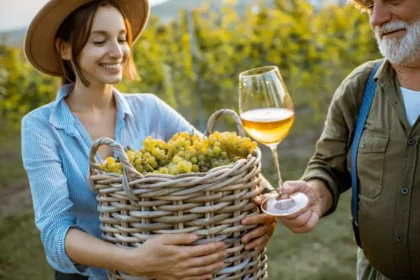 Digitalisierung des Weinmarktes in Polen Technologien, Herausforderungen und Zukunft