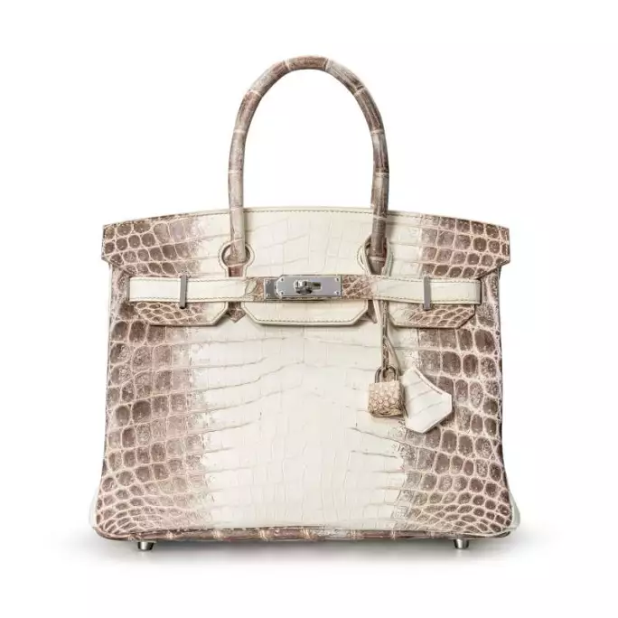 Hermes Vs Kundinnen Tasche Birkin1