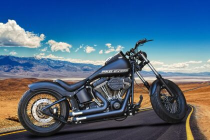 Harley Davidson Probleme