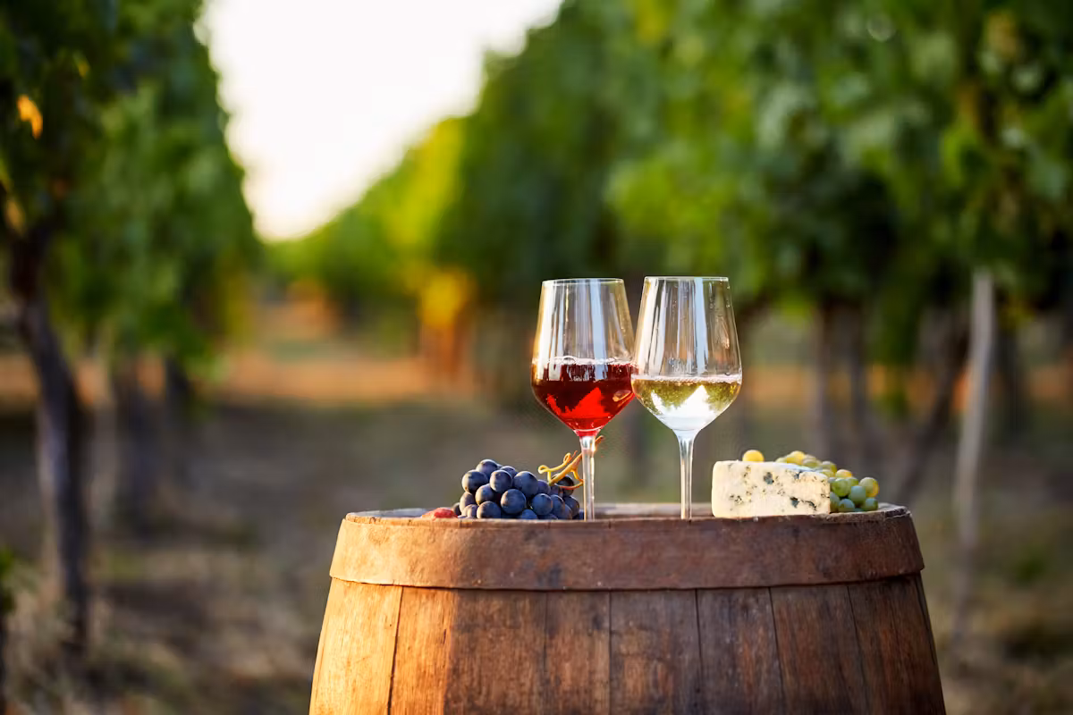 Weinbranche in Polen