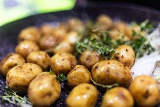 Kartoffel Hauptdarsteller Wettbewerbe Goldene Artischocke 2026