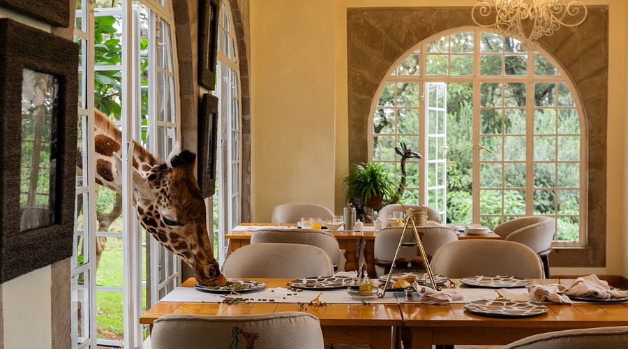 Top 5 der ungewöhnlichsten Hotels der Welt